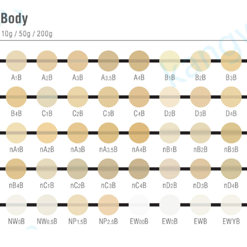 Noritake ex-3 DENTIN Body porcelain 50g