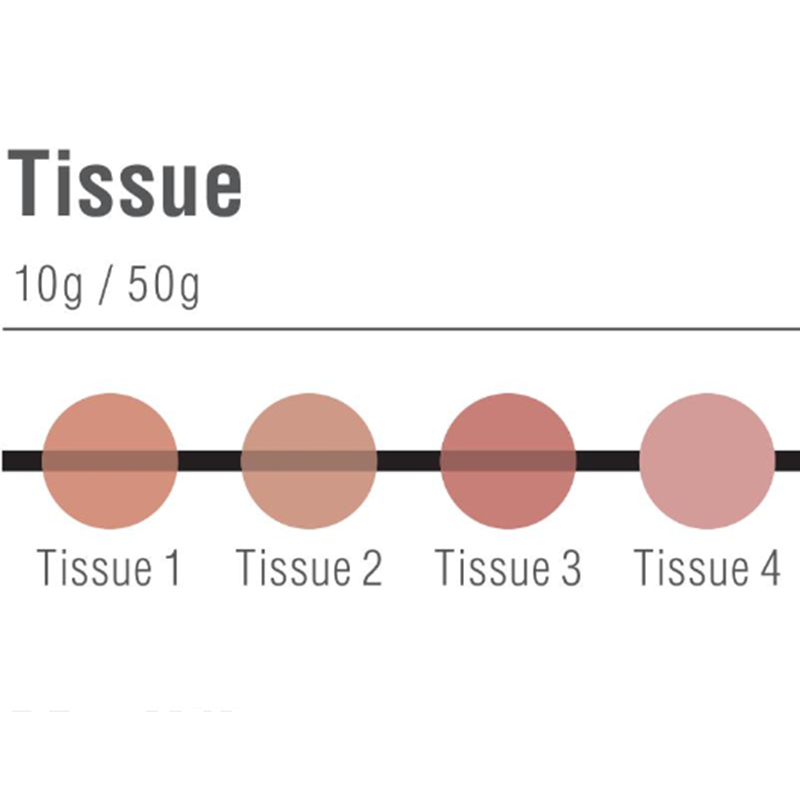 Noritake EX-3 Gingival Porcelain 50g